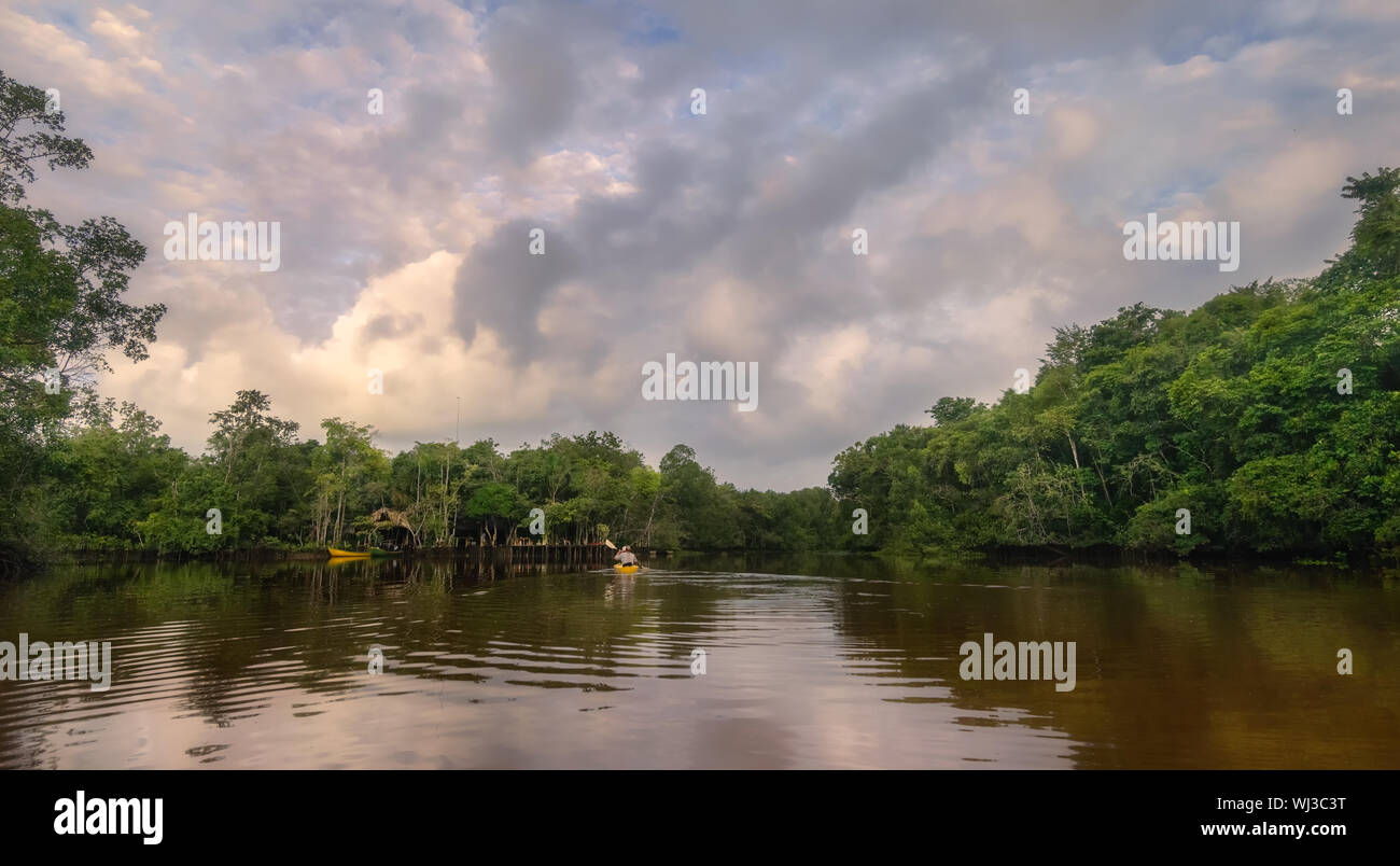 Panorama of a tropical river in the jungle of latin america. Stock Photo