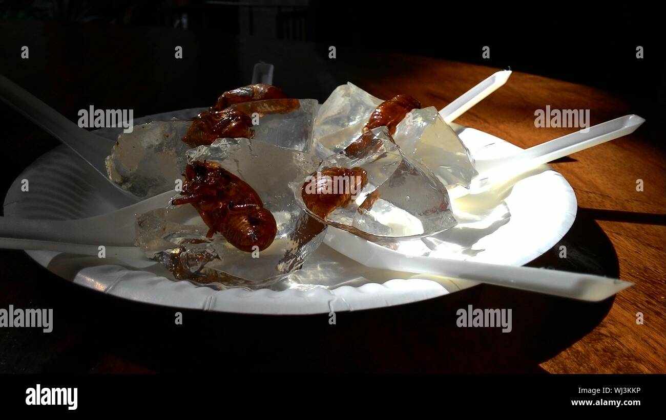 Dead Insects With Jellies In Plate On Table Stock Photo