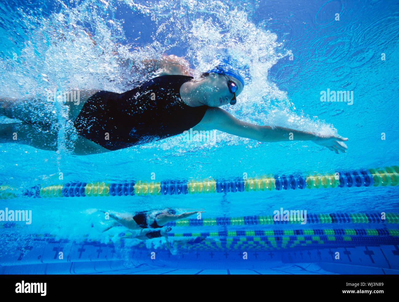 Professional female swimmers swimming in pool Stock Photo Alamy