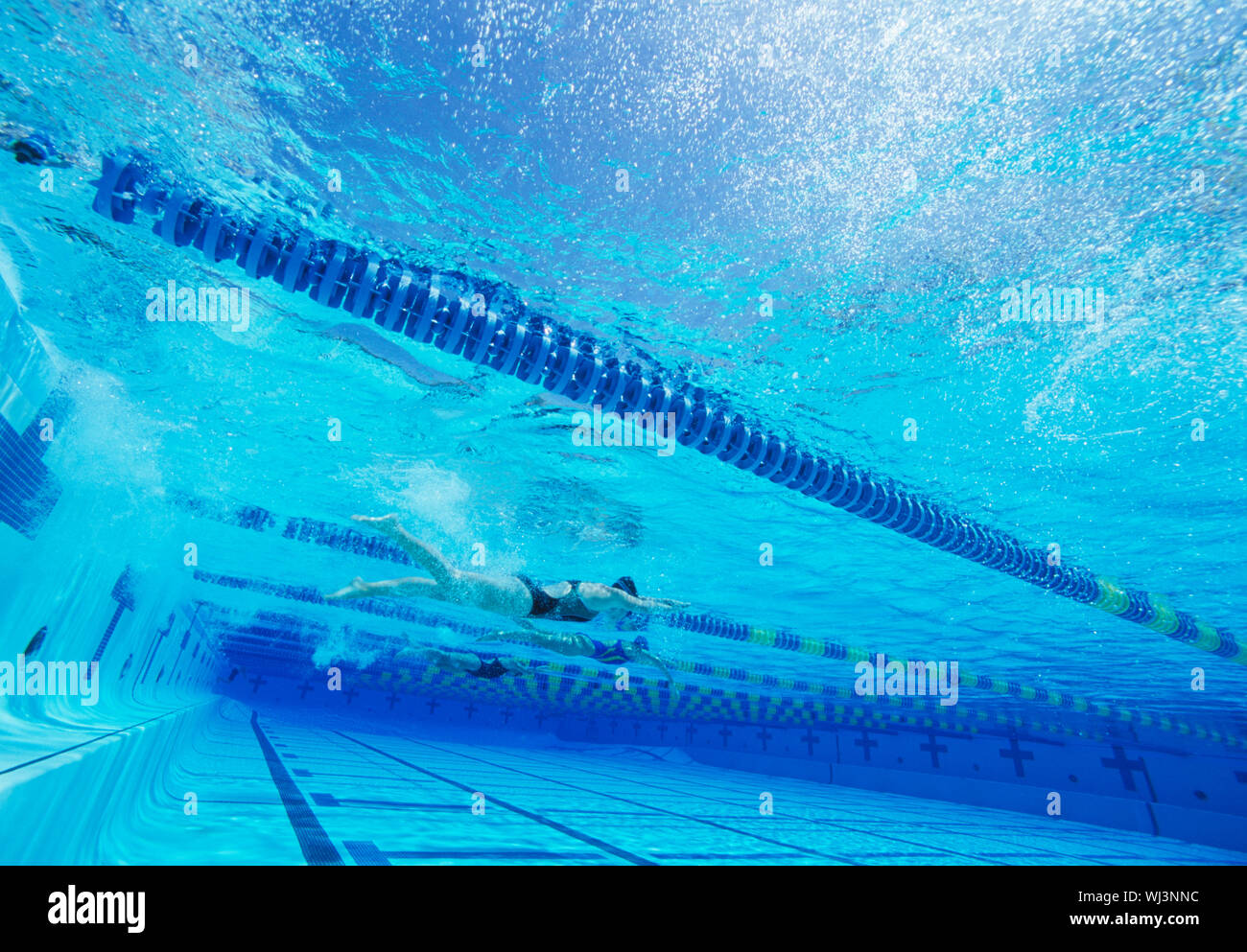 Swimmers racing together in swimming pool Stock Photo - Alamy