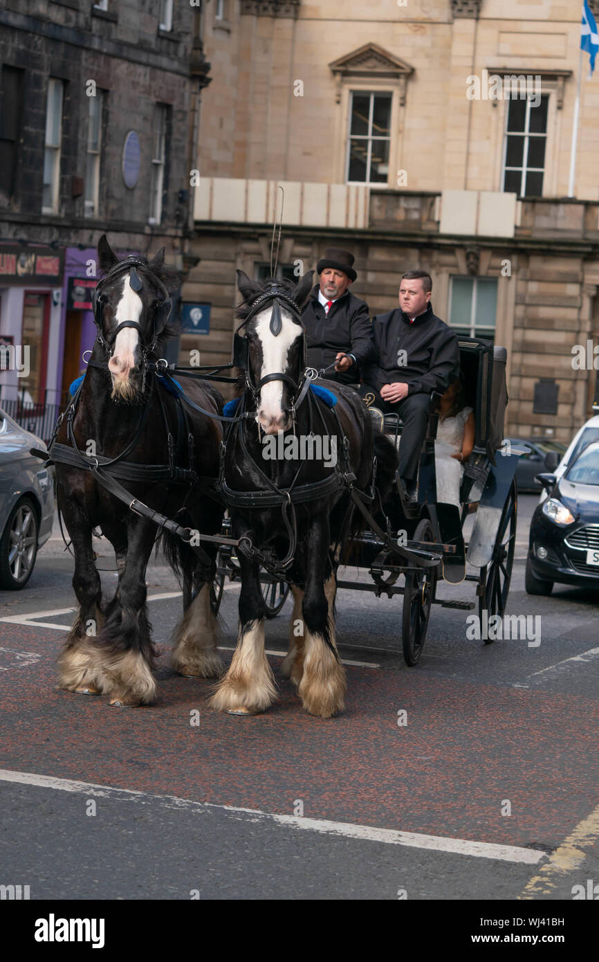 horse and cart carrage edinburgh festival Stock Photo Alamy