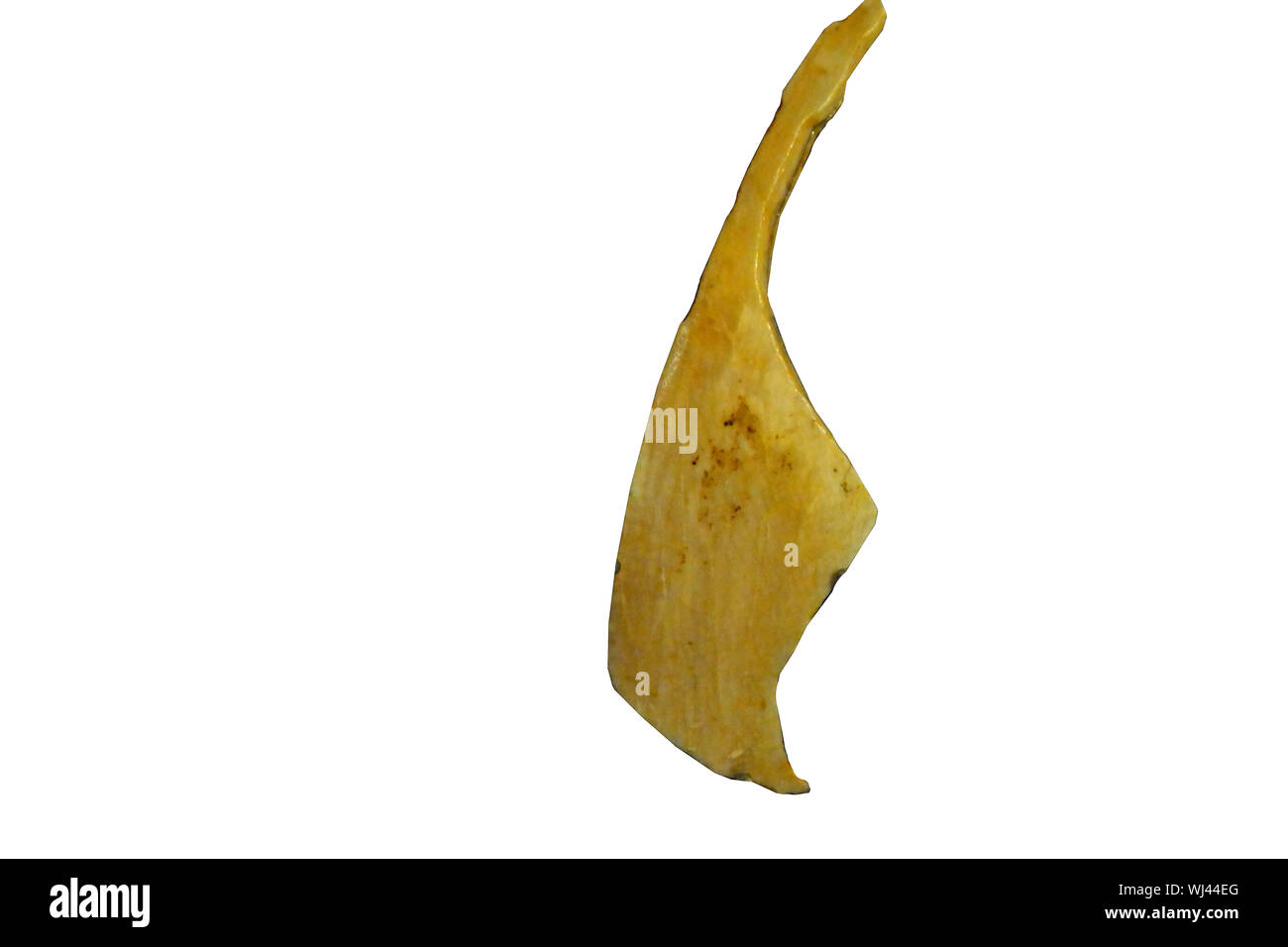 A Figurine shaped from a wild boar's tusk, supposedly representing a woman dating back 15,000 years. Isolated against a white background Stock Photo
