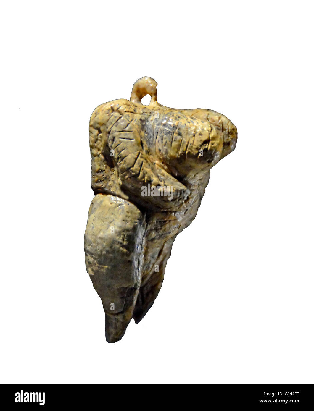 The Venus of Hohle Fels is the oldest undisputed image of a human dating from 40,000 years ago. She is fat and large breasted and carved from mammoth Stock Photo