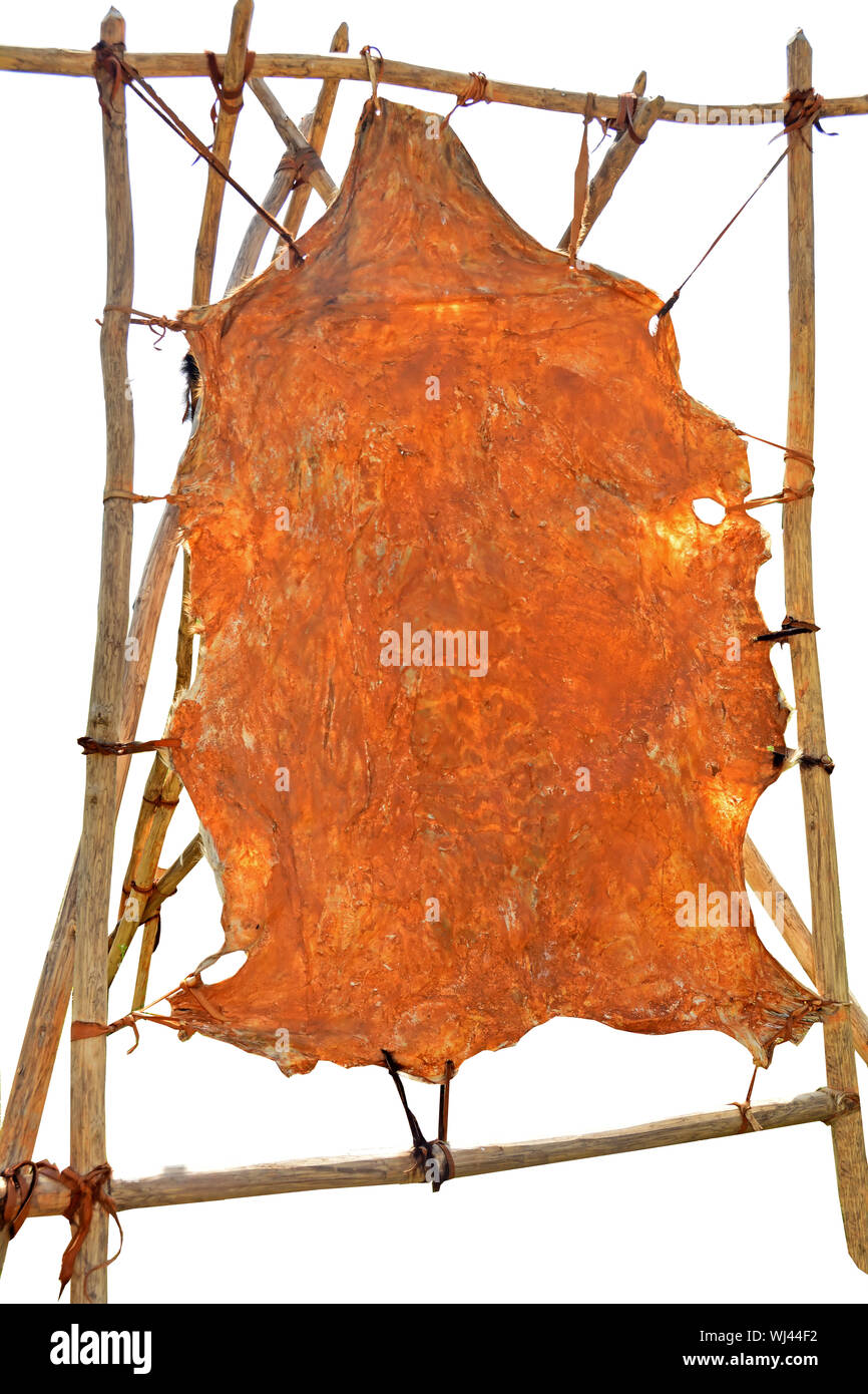Frame used for making leather from animal hides during the Ice Age. Isolated against a white background Stock Photo