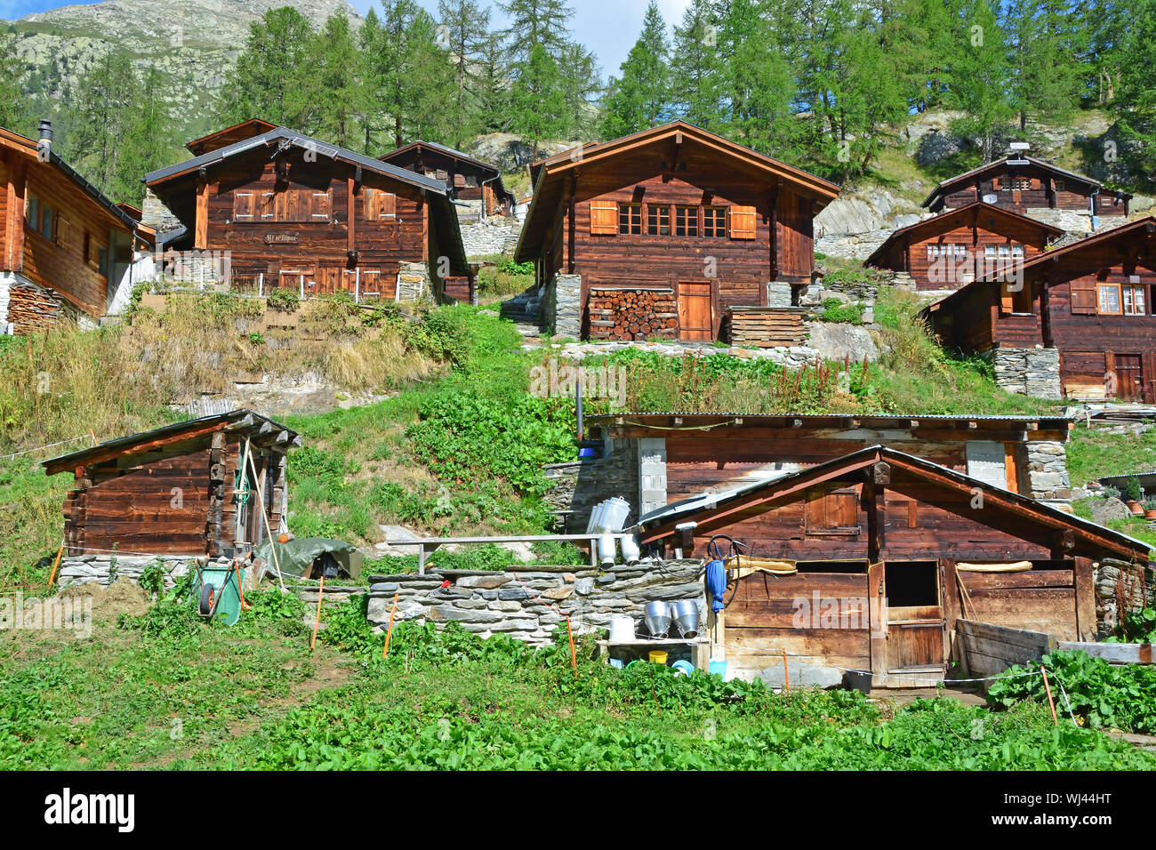 Traditional Swiss Mountain chalets in a mountain summer hamlet with small farm in the foreground Stock Photo