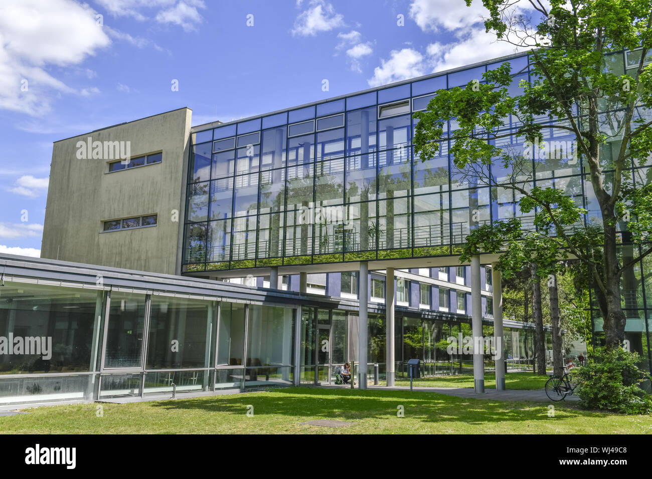 View, architecture, Outside, Outside, outside view, outside view, Berlin, campus, Dahlem, Dahlemer, Germany, free university, free university, Free Un Stock Photo
