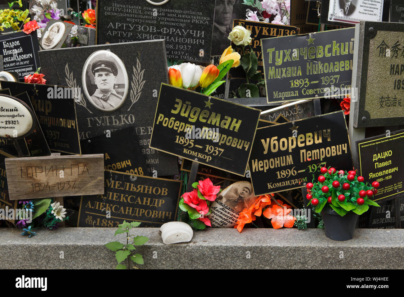 Communal grave of unclaimed ashes number one, where people executed by the NKVD were secretly buried from 1930 to 1942, at the Donskoye Cemetery in Moscow, Russia. It is believed the mass grave contains the remains of 4,259 victims of Stalin's regime. The plaques with the names were installed by the relatives since the 1980s. The plaques devoted to Red Army commanders Mikhail Tukhachevsky and Ieronim Uborevich executed in 1937 are seen in the picture among others. Stock Photo