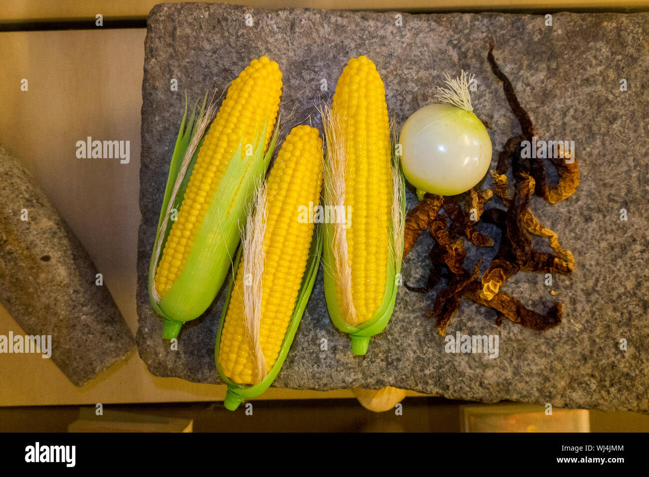 Fake, plastic, yellow ears of corn on display at a cultural museum in Malacca, Malaysia. Stock Photo