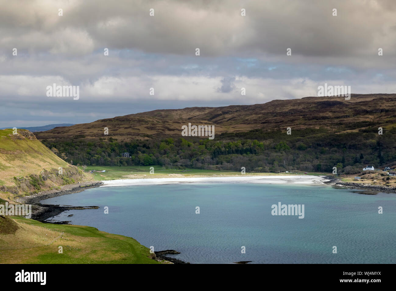 Scottish heather isle of mull hi-res stock photography and images - Alamy