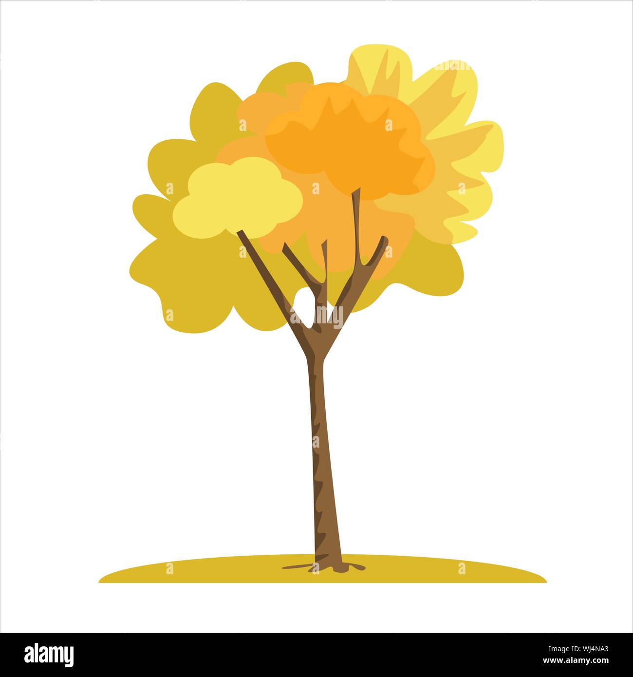 Single yellow tree in autumn season. Fall season tree with solid color