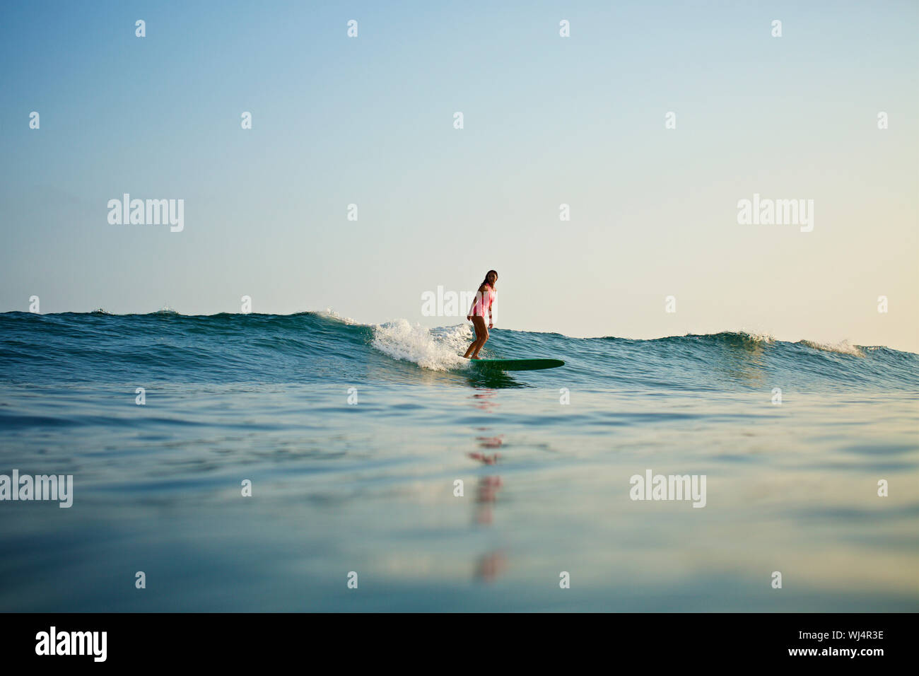 Female surfer riding ocean wave Stock Photo - Alamy