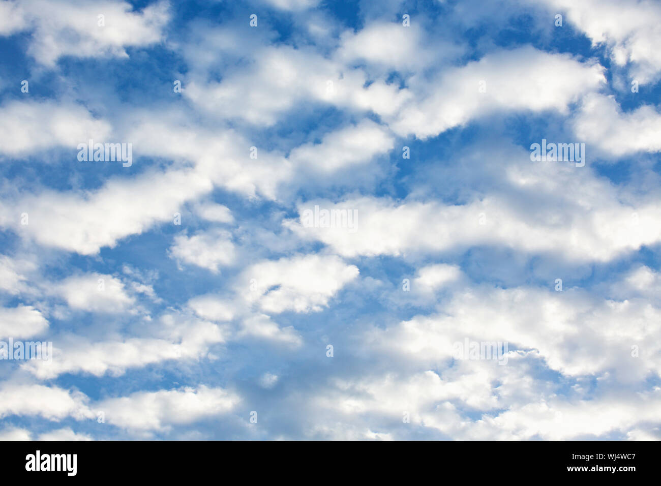 Fluffy white clouds in sunny blue sky Stock Photo