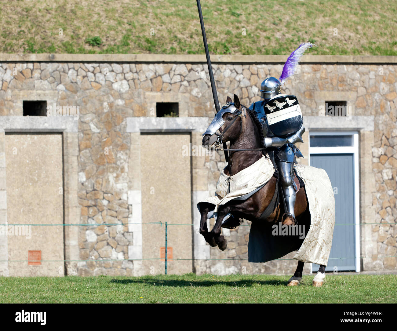 Mounted Knights in Armour, taking part in a Joust: The Battle for Good ...