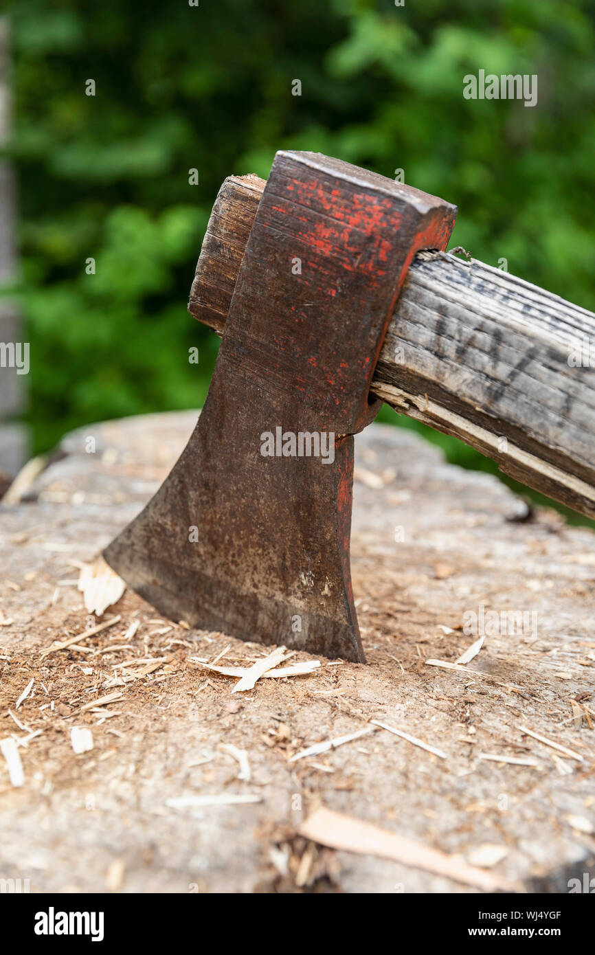 Close up wood chopping axe in tree stump Stock Photo