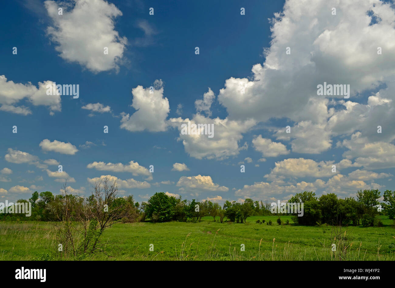 Spring landscapes in the countryside. City Novomoskovsk Ukraine Stock ...