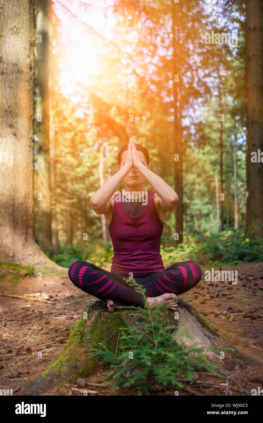 woman sitting on a tree stump in a forest meditating, practicing yoga ...
