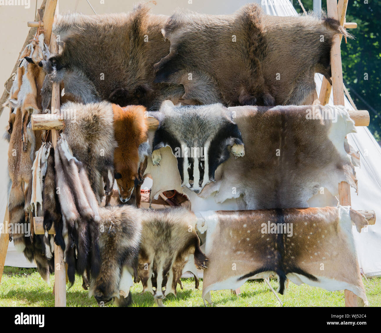 Hanging animal skins hires stock photography and images Alamy