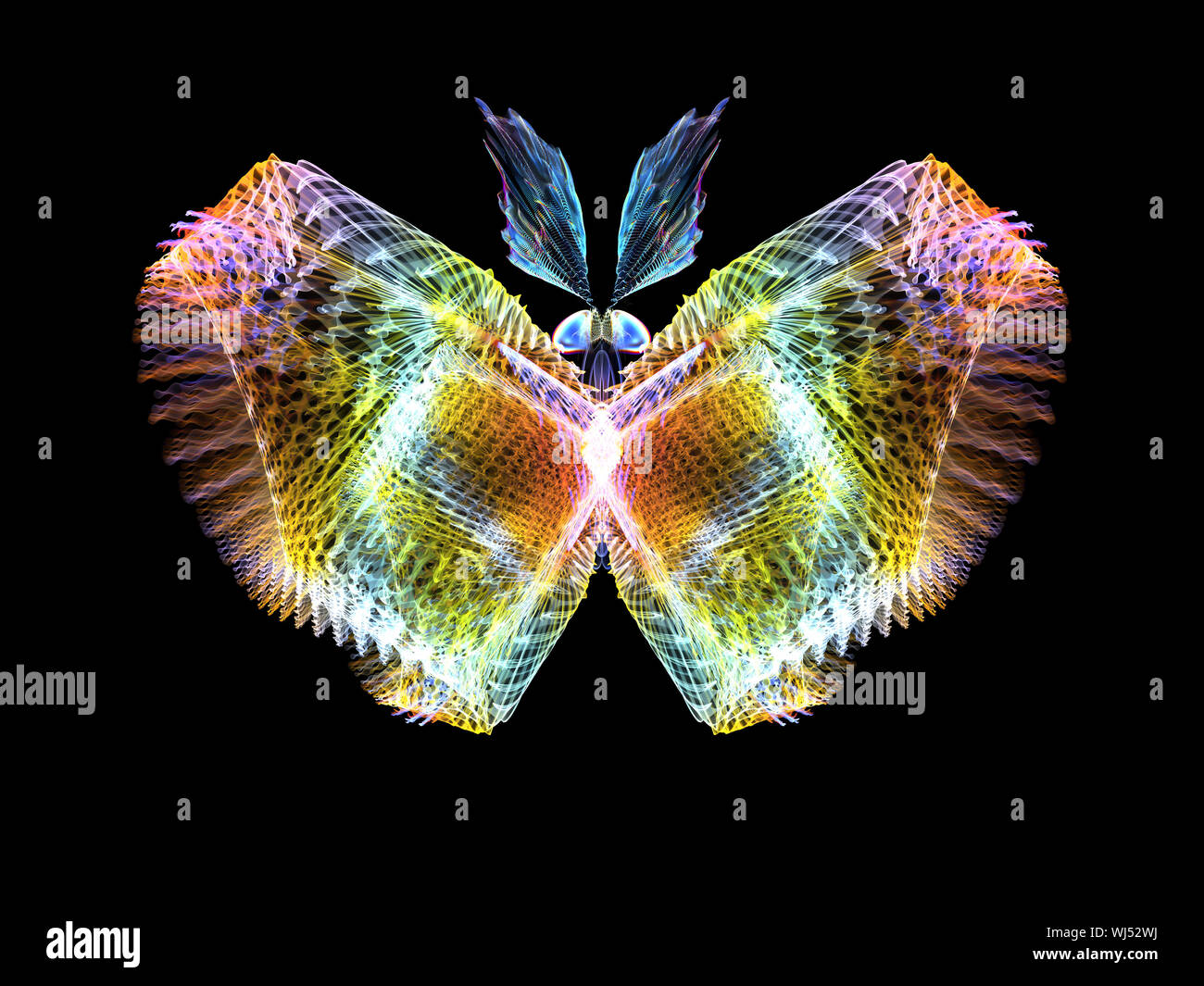 Never Were Butterflies series. Arrangement of isolated butterfly