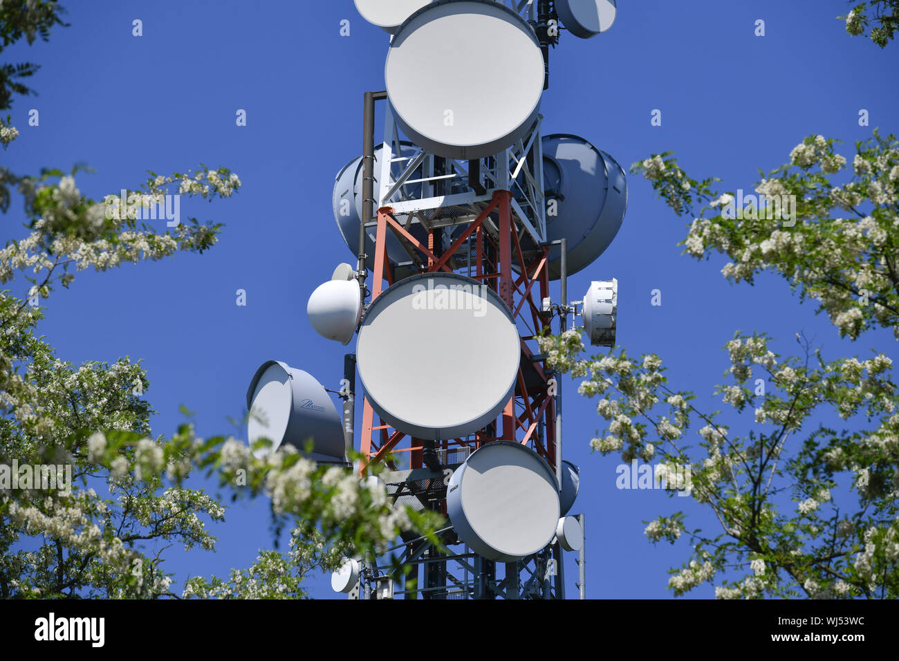 View, aerial, aerials, architecture, Outside, Outside, outside view, outside view, trees, tree, trees, Berlin, Germany, electric smog, television towe Stock Photo