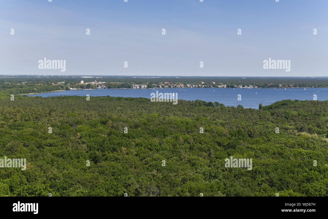 Trees, tree, trees, Berlin, biotope, Germany, forest, Friedrichshagen, waters, waters, of big Mueggelsee, big Müggelsee, green, greens, more green, gr Stock Photo