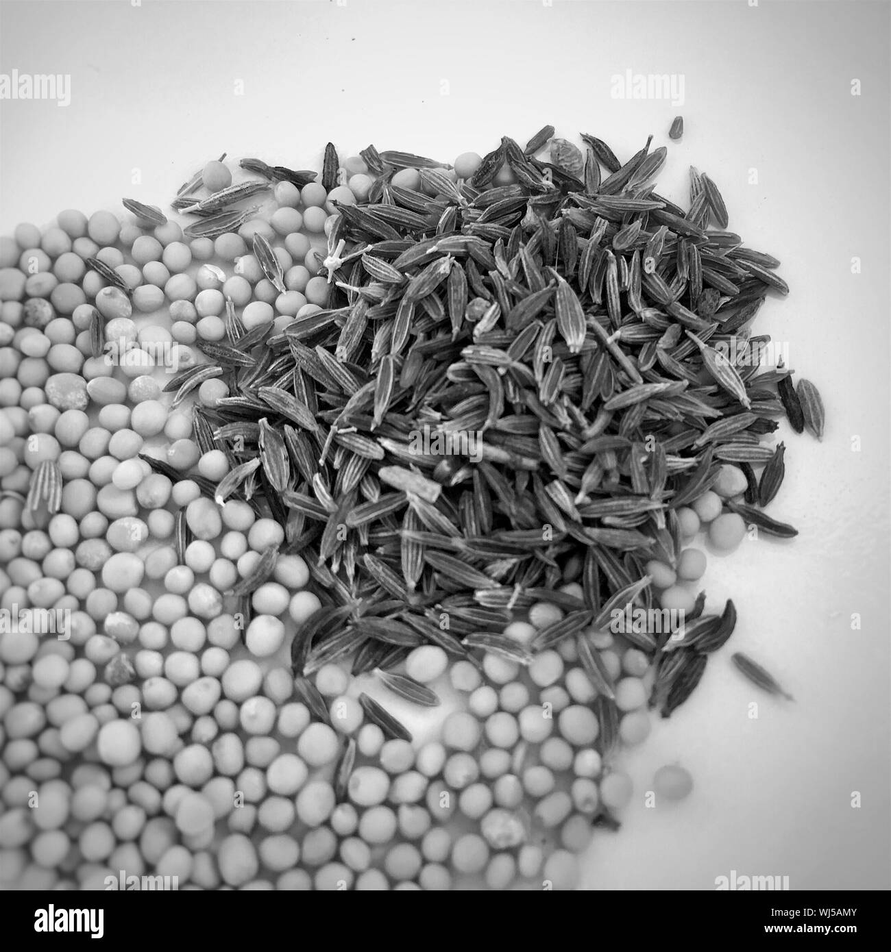 Cumin mustard seeds hires stock photography and images Alamy