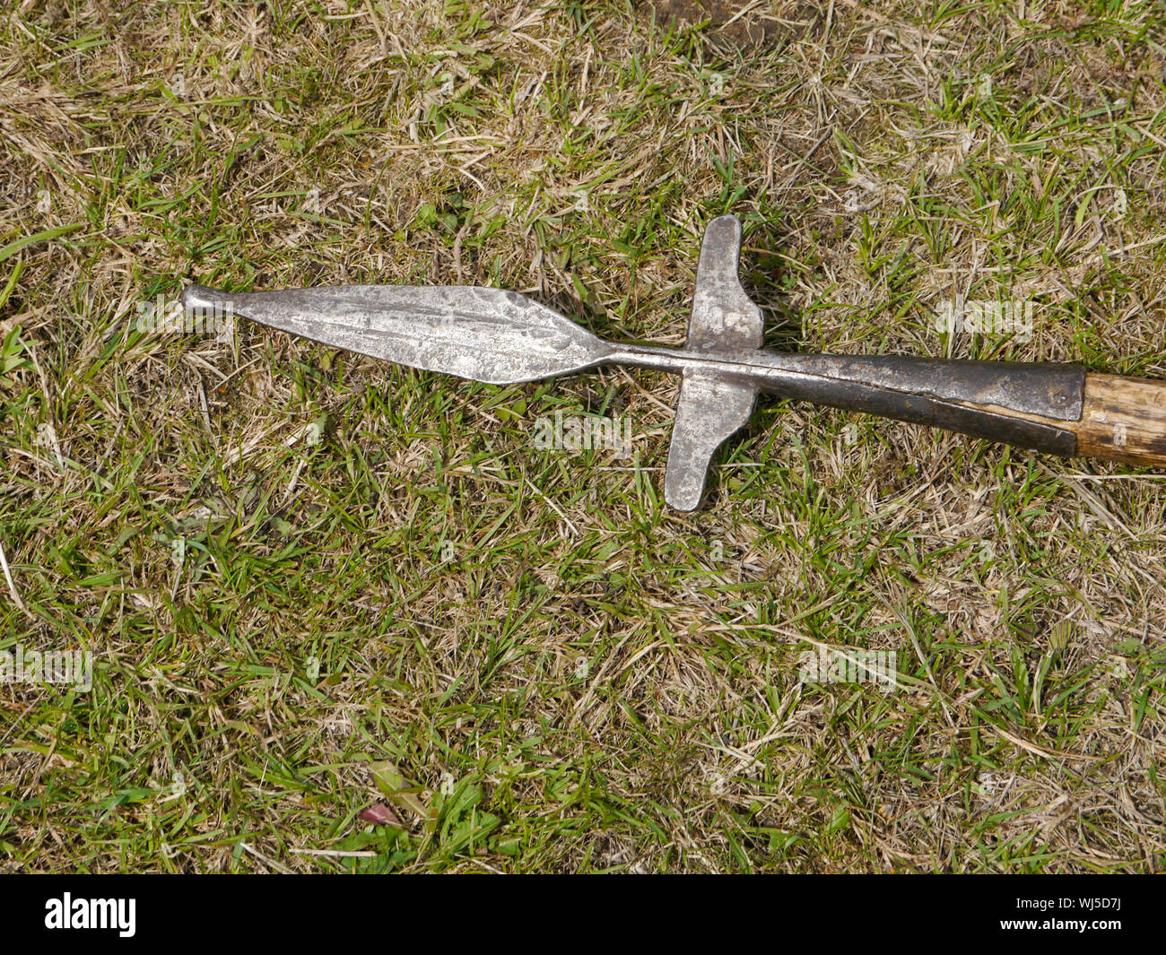 an replica Dark ages spear used by historical re-enactors Stock Photo