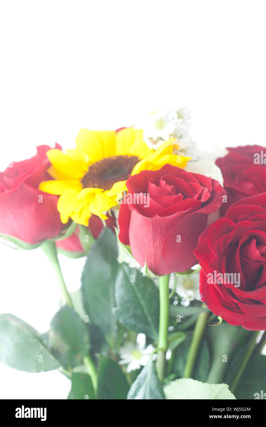 bouquet of red roses and sunflower in a vase Stock Photo Alamy