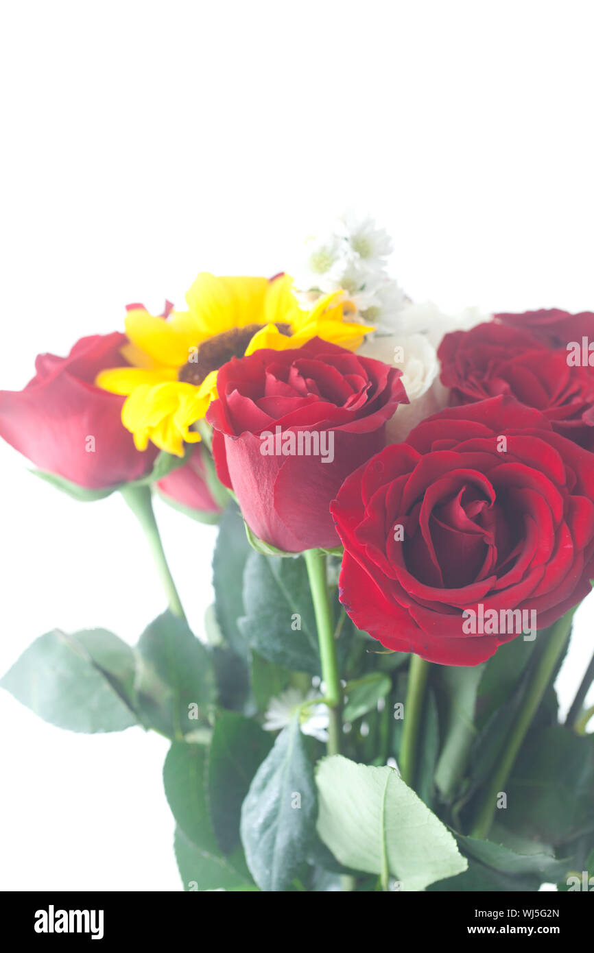 bouquet of red roses and sunflower in a vase Stock Photo Alamy
