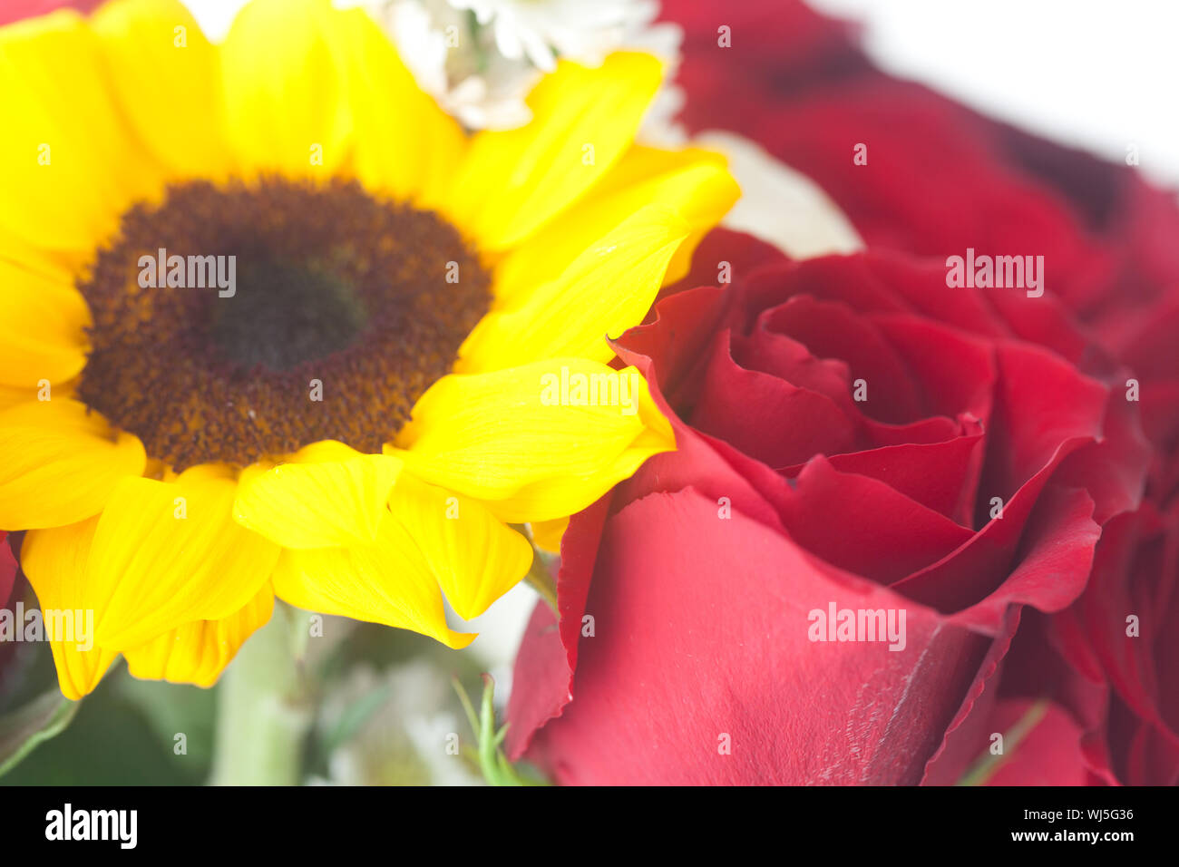 bouquet of red roses and sunflower in a vase Stock Photo Alamy
