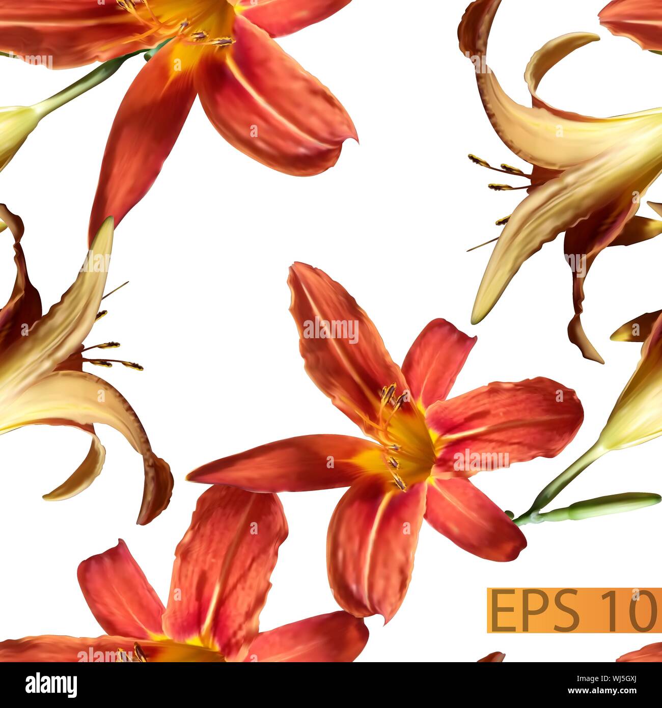 Orange and red lilies on a white background. Seamless vector pattern ...