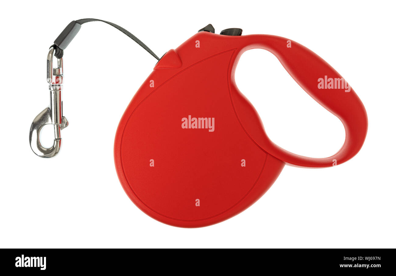 Top view of a retractable dog leash with a red plastic body and a metal clasp on a high strength cord isolated on a white background. Stock Photo