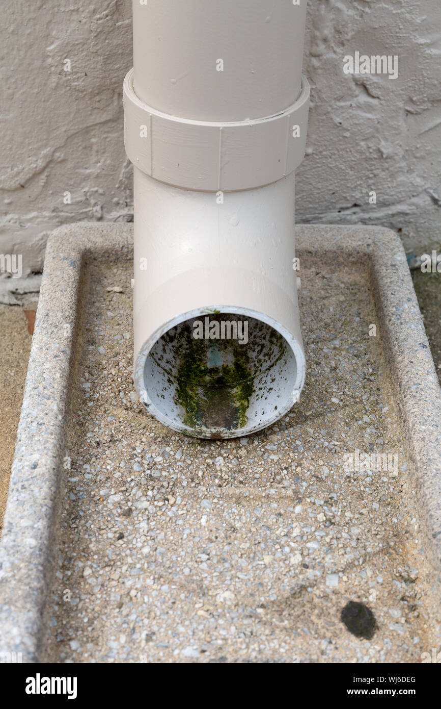 An old pvc drainpipe on a concrete spillway with mold growing inside