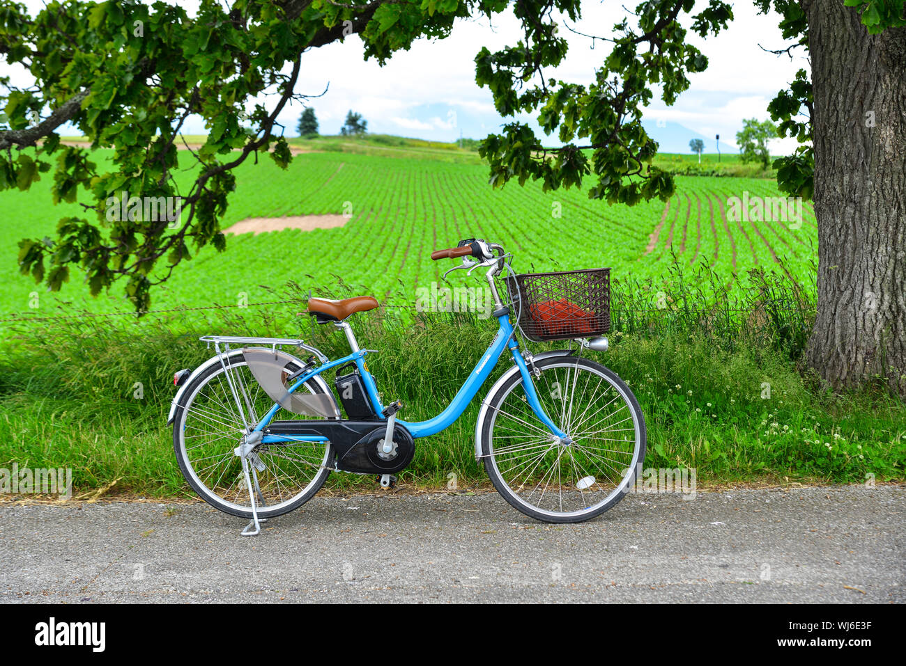 Electric Bicycle In Vietnam High Resolution Stock Photography And Images Alamy