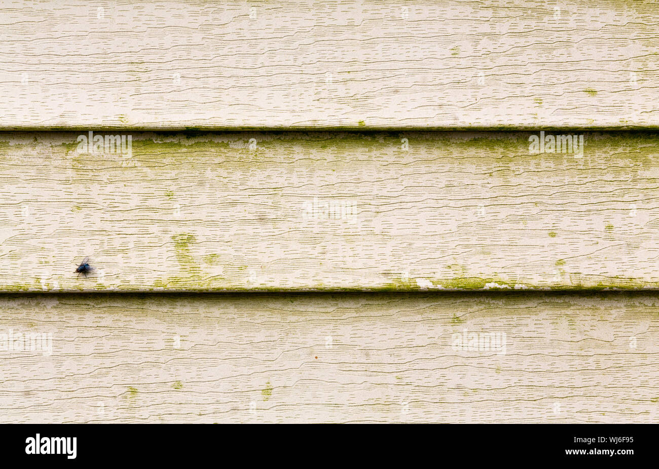 Close view of several rows of beige vinyl siding with a large amount of