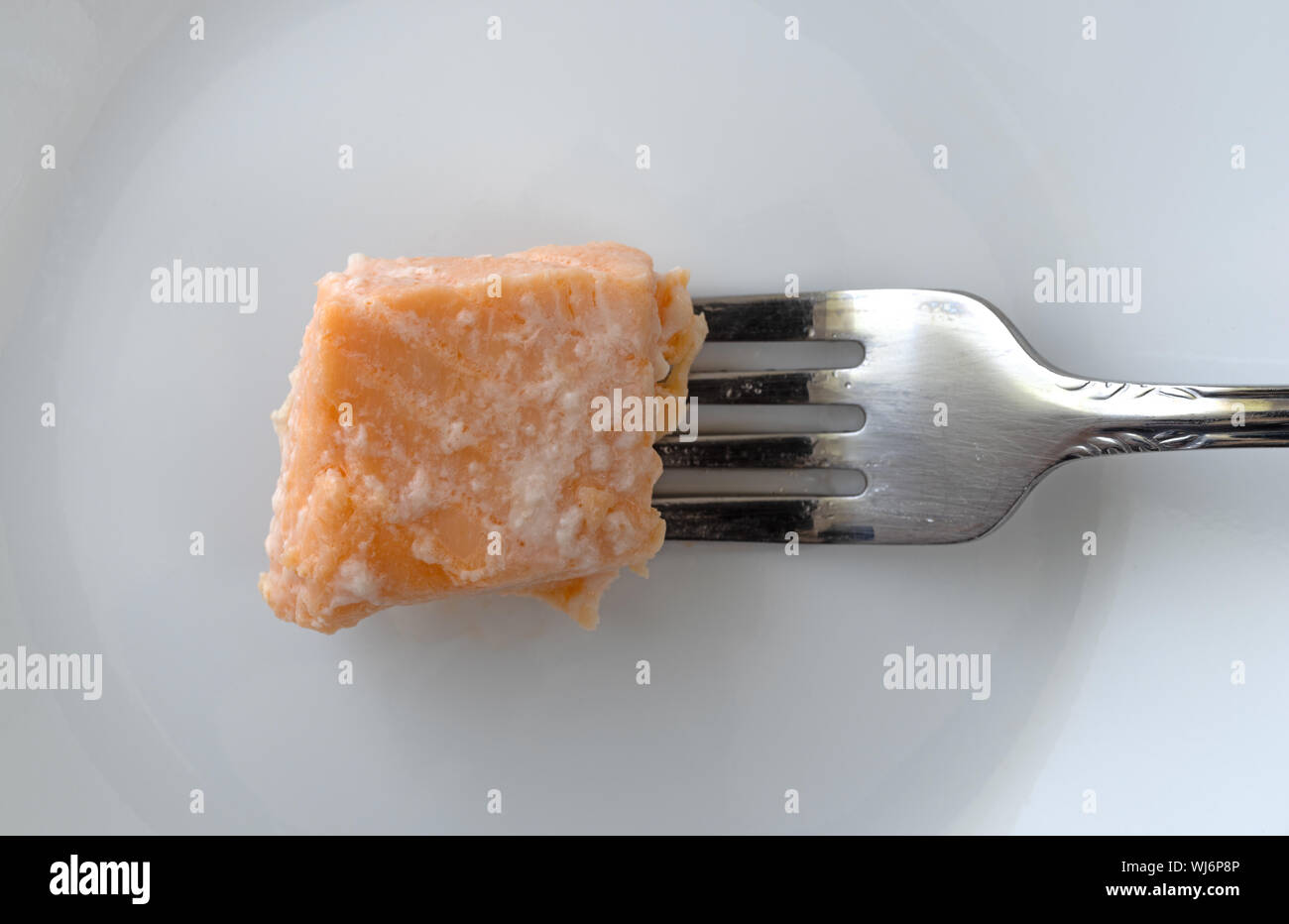 Top Close View Of A Morsel Of Salmon On A Fork Atop A White Plate Illuminated With Natural Lighting Stock Photo Alamy