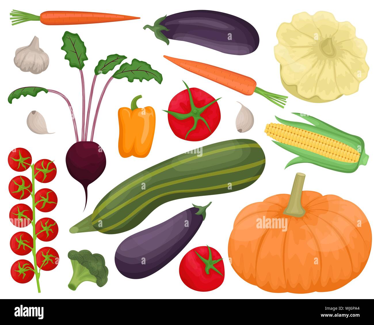 Set of 16 autumn vegetables. Harvest. Flat vector illustration Stock ...