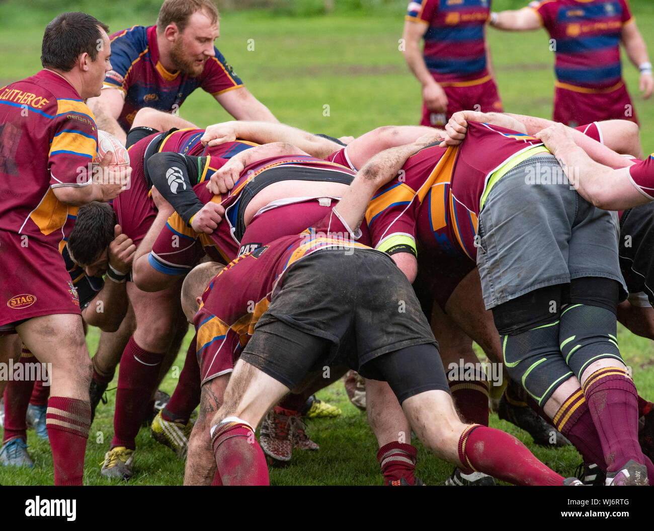 Someone Rugby People participating in playing rugby, Clitheroe, Lancashire Stock ...