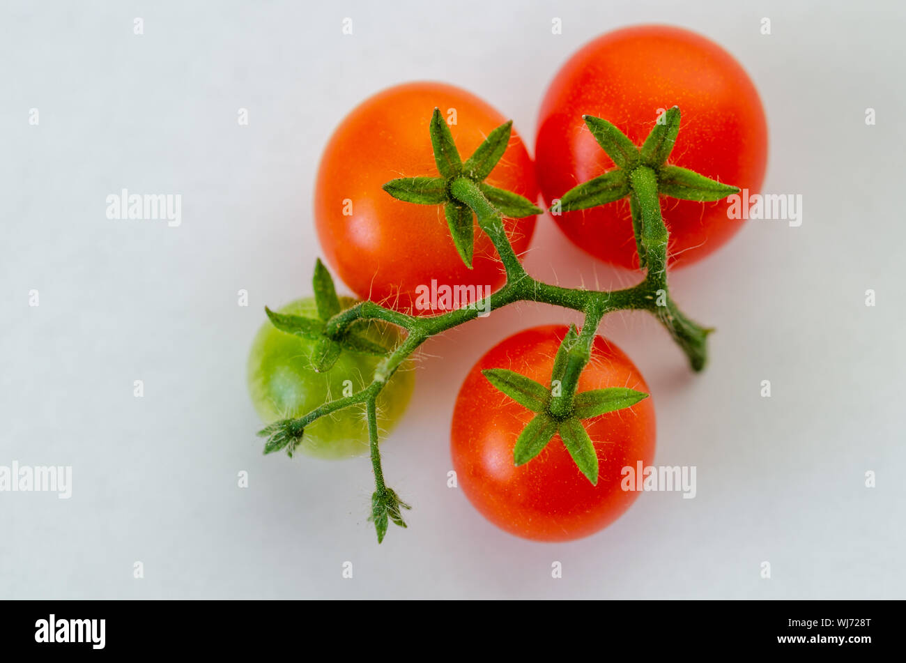 Young tomatoes top view hi-res stock photography and images - Alamy