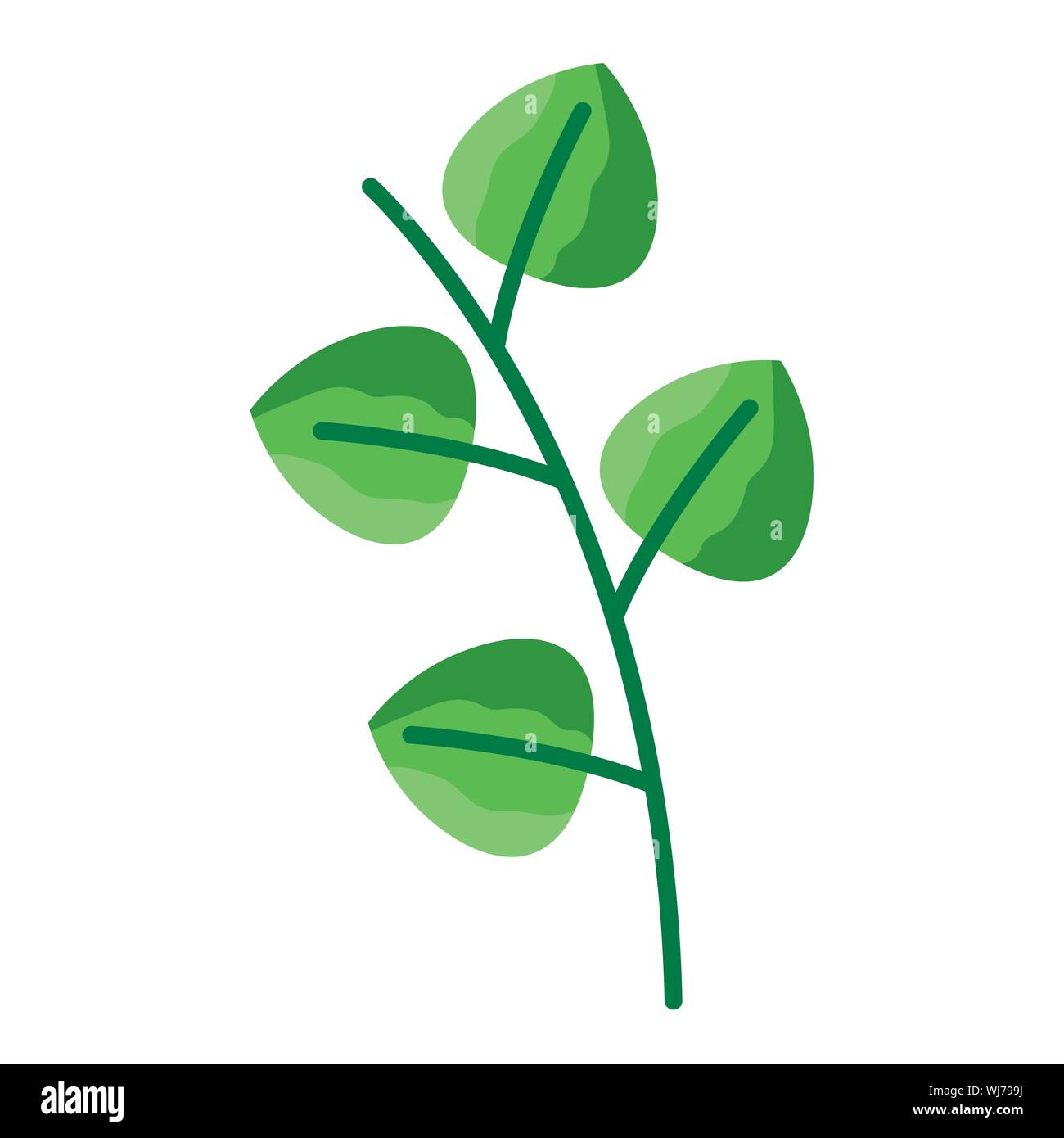 Isolated leaves vector design Stock Vector Image & Art - Alamy