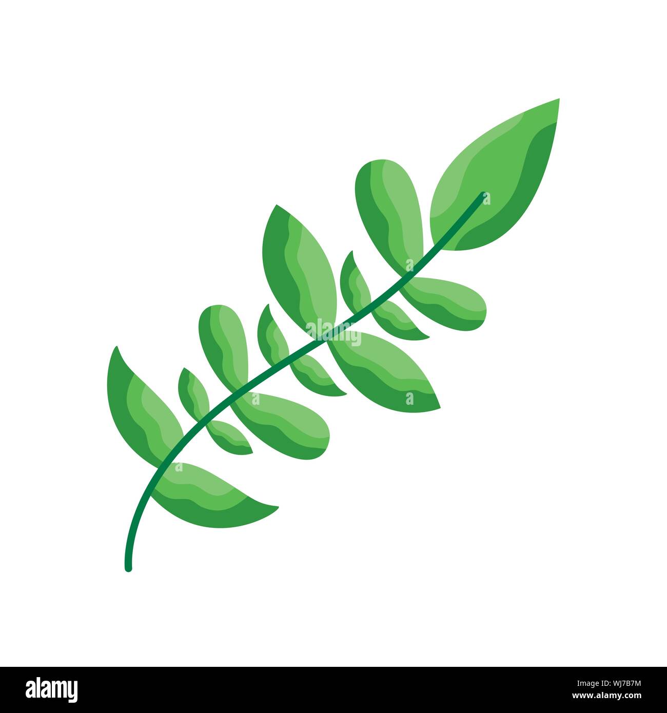 Isolated leaves vector design Stock Vector Image & Art - Alamy