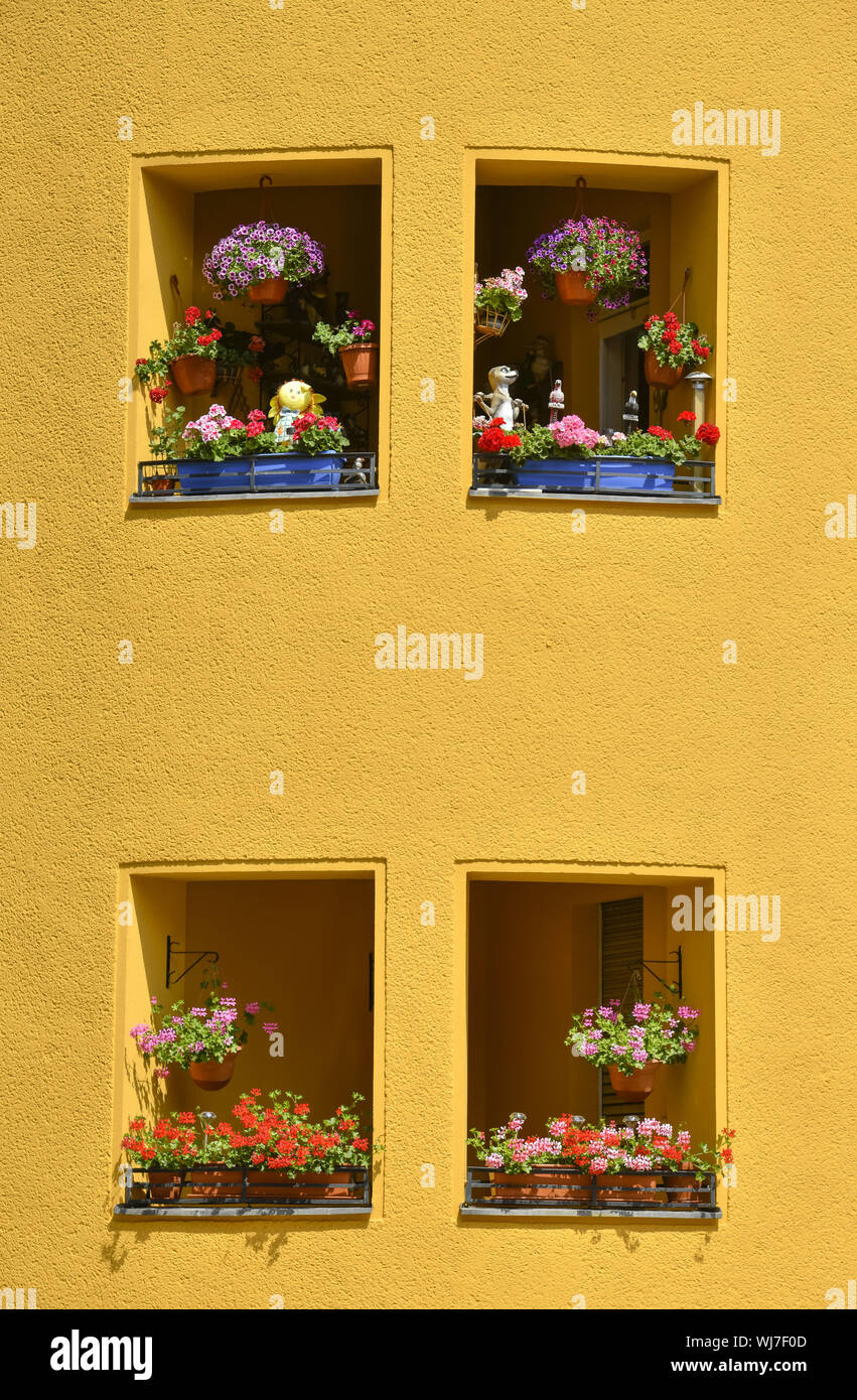 Old building, old building facade, flat in an old building, architecture, balcony, outdoor plant, outdoor plants, Berlin, Brahestrasse, Brahestrasse, Stock Photo
