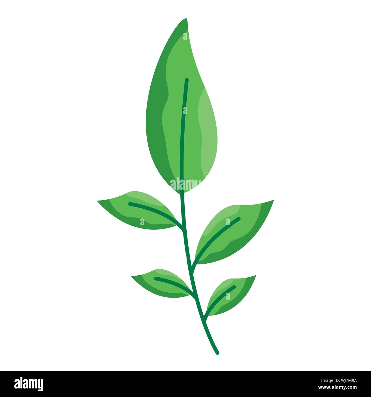 Isolated leaves vector design Stock Vector Image & Art - Alamy