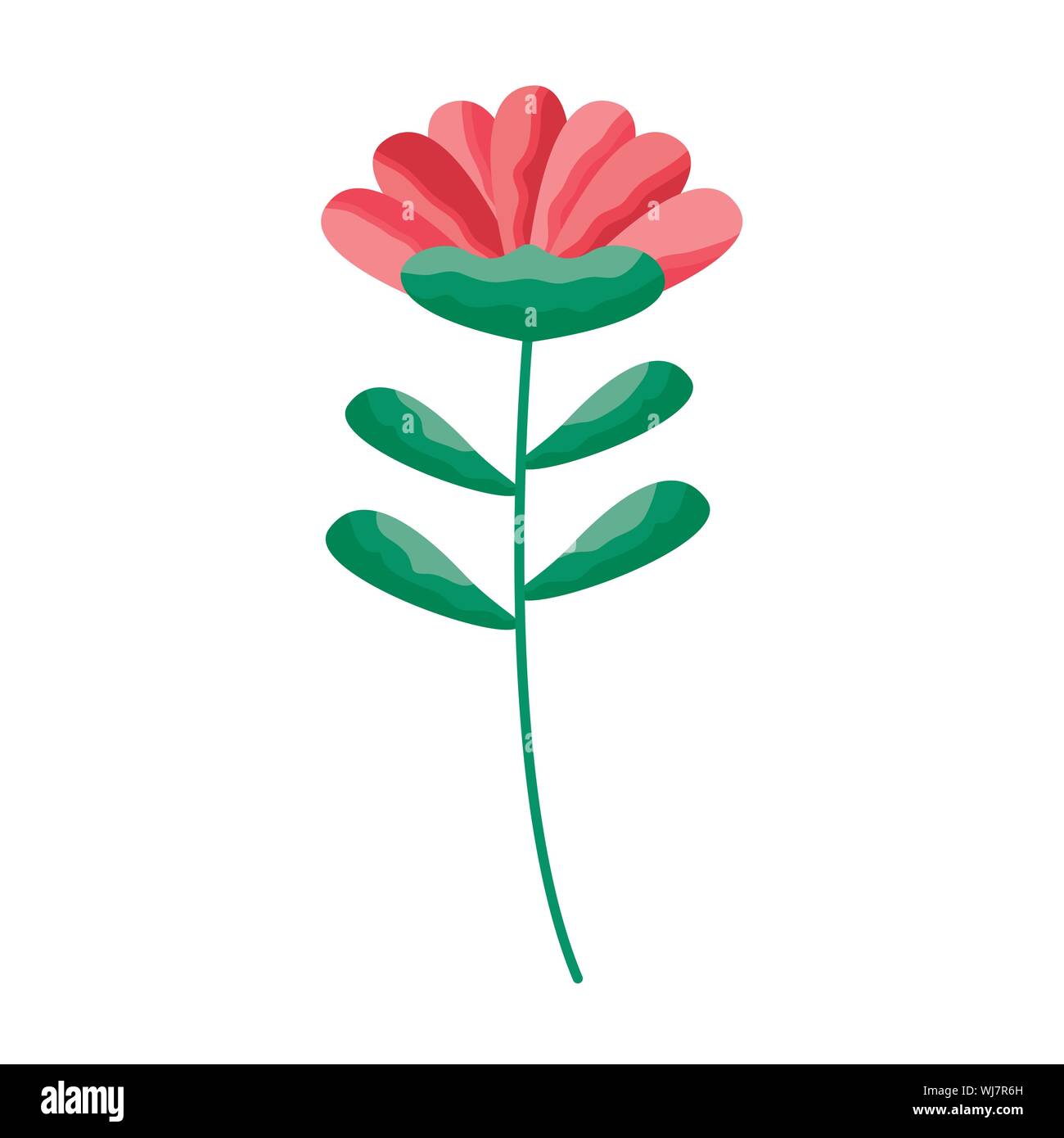 Isolated flower ornament design Stock Vector Image & Art - Alamy