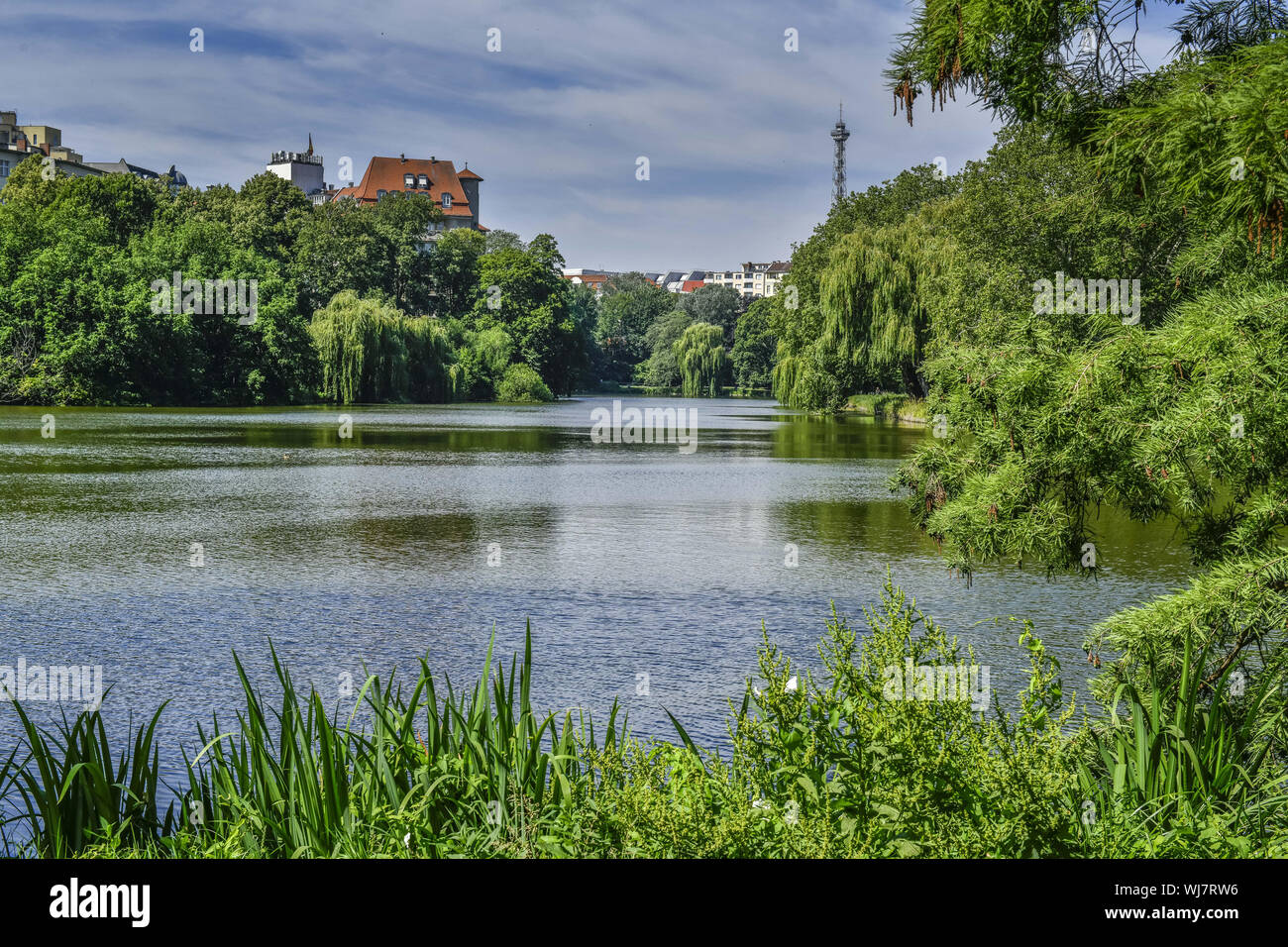 Berlin, Charlottenburg, Charlottenburger, Charlottenburg-Wilmersdorf, Germany, waters, Lietzensee, lake, pond, water, Deutschland Stock Photo
