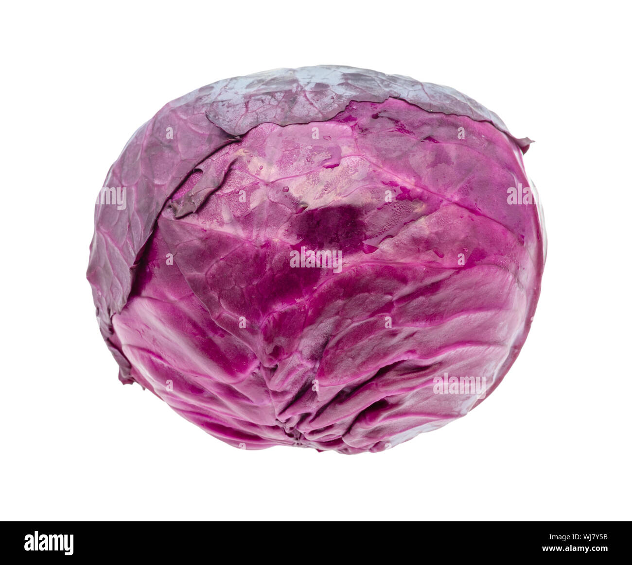single ripe red cabbage cutout on white background Stock Photo