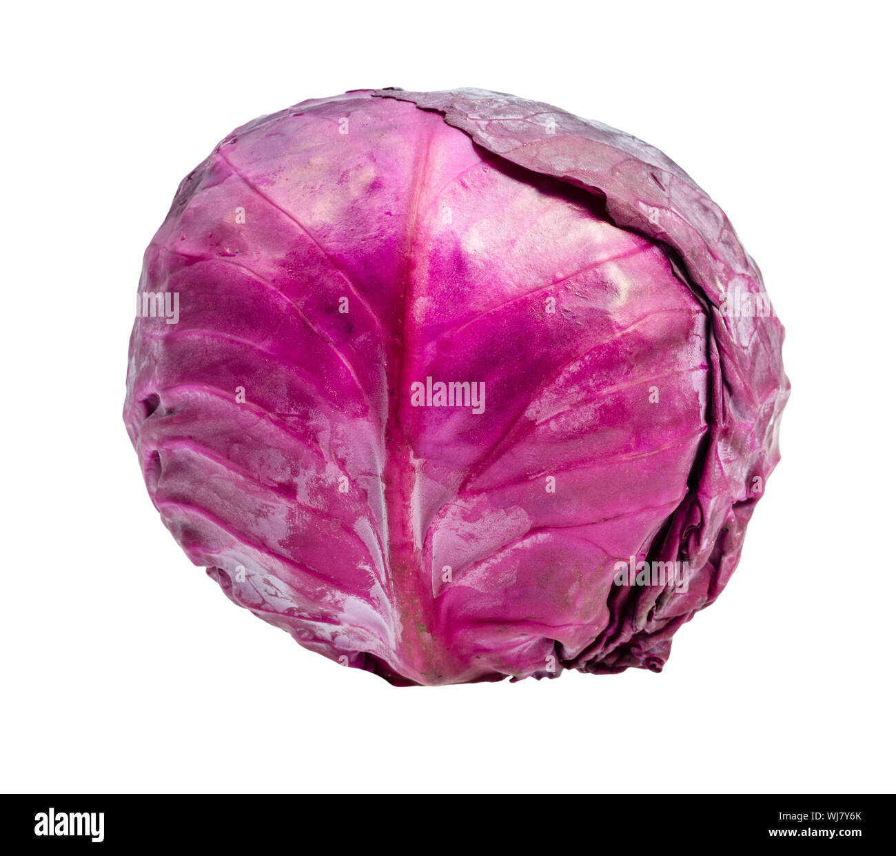 ripe red cabbage cutout on white background Stock Photo