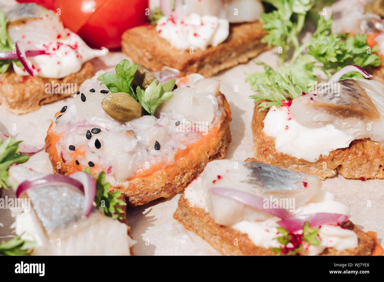 crumpled interrupt feminine Delicious canapes with herring.Macro of delicious canape or sandwiches with  fresh herring, black sesame, cream cheese on crispy bread Stock Photo -  Alamy