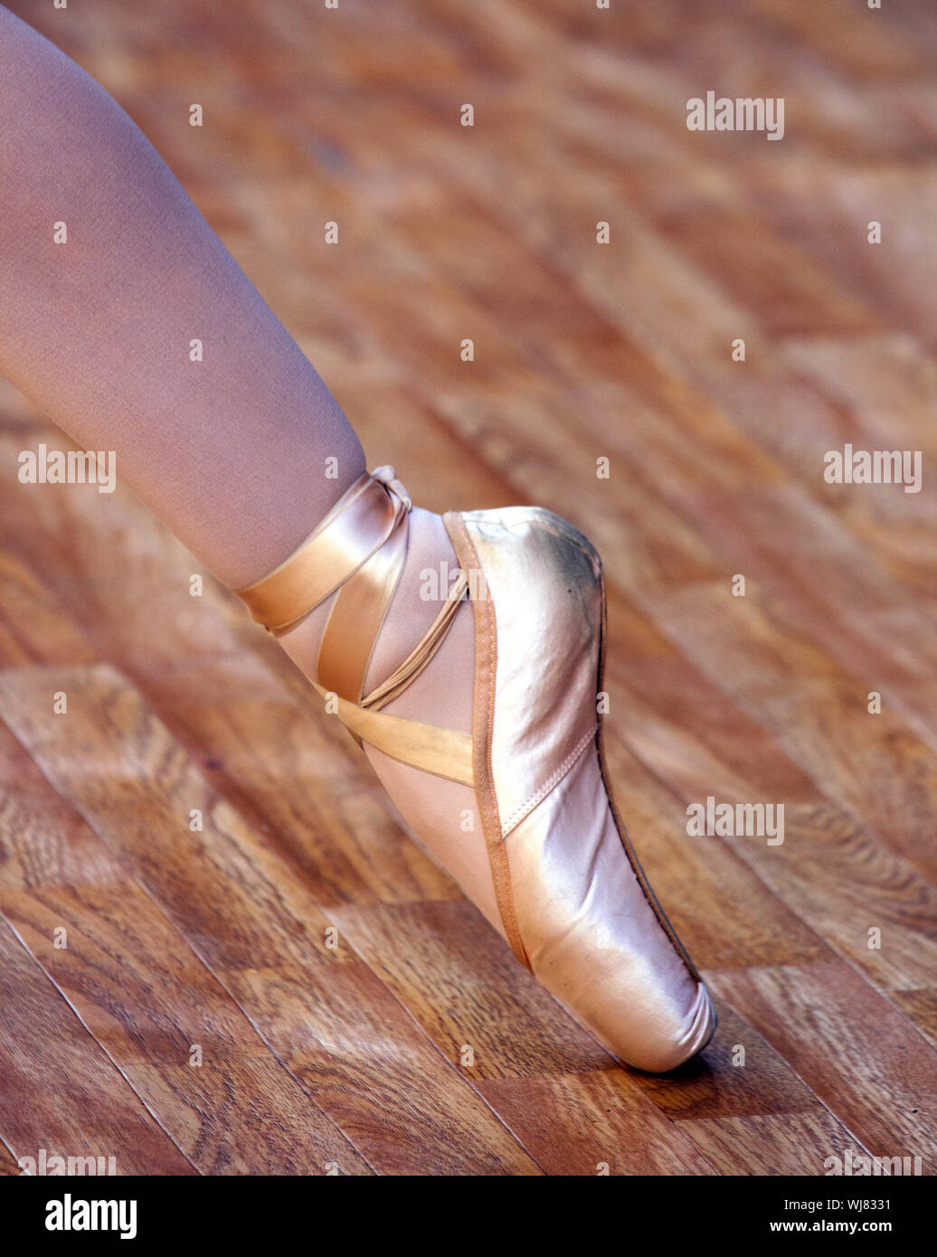 Low Section Of Woman Wearing Ballet Shoes On Hardwood Floor Stock Photo