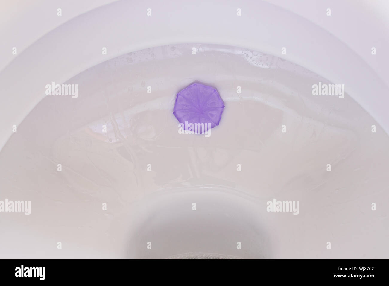 Closeup air freshener and antibacterial gel in toilet seat. Clean and