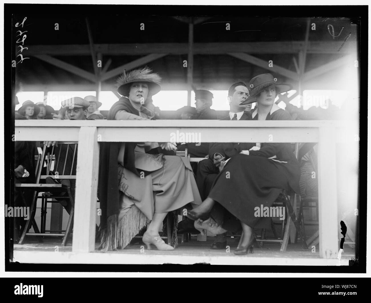 HORSE SHOWS. MISC. VIEWS Stock Photo Alamy